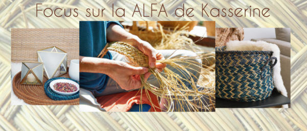 ZOOM sur l’ALFA de Kasserine